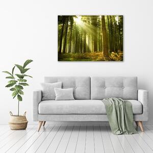 Pictură pe pânză o pădure de pini