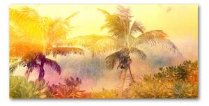 Fotografie imprimată pe sticlă palmele colorate