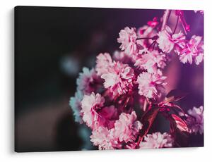 Tablou cu florile copacilor (70x50 cm)
