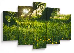 Tablou cu natura - lunca (150x105 cm)