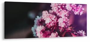 Tablou cu florile copacilor (120x50 cm)