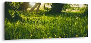Tablou cu natura - lunca (120x50 cm)