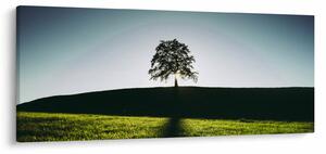 Tablou cu natura - copac (120x50 cm)
