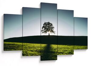 Tablou cu natura - copac (150x105 cm)