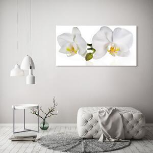 Tablou Printat Pe Sticlă Orhidee