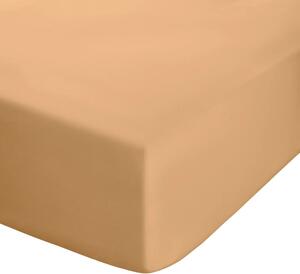 Cearceaf galben-portocaliu din bumbac percale cu elastic 90x190 cm Easy Iron Percale – Catherine Lansfield