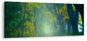 Tablou cu drum dea lungul cu copaci (120x50 cm)