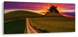Tablou câmpului cu apus de soare (120x50 cm)
