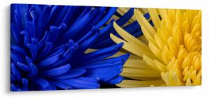 Tablou - detaliu florilor (120x50 cm)