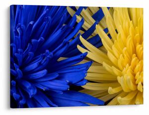 Tablou - detaliu florilor (70x50 cm)