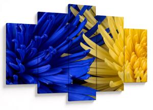 Tablou - detaliu florilor (150x105 cm)