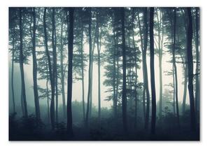 Tablou din Sticlă Pădure în ceață