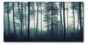 Tablou din Sticlă Pădure în ceață