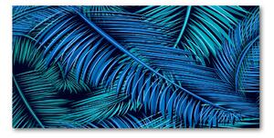 Tablou Printat Pe Sticlă frunze de palmier