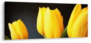 Tablou cu lalele (120x50 cm)