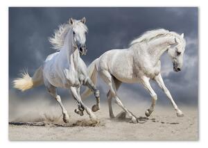 Fotografie imprimată pe sticlă White Beach Horse