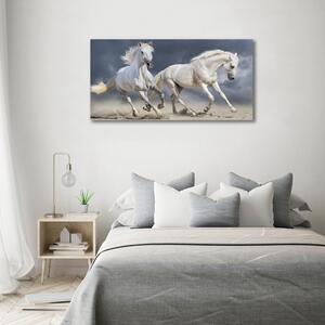 Tablou canvas White Beach Horse