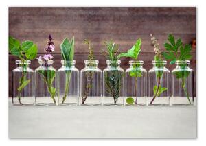 Imagine de sticlă Plantele în borcane