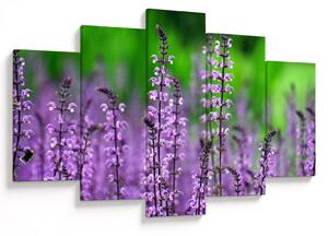 Tablou cu flori de luncă violete (150x105 cm)