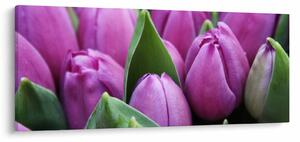 Tablou - florile lalelelor (120x50 cm)