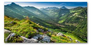 Imagine de sticlă Zori în munții Tatra