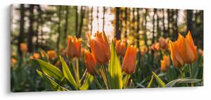Tablou - florile lalelelor (120x50 cm)