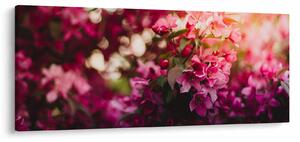 Tablou cu florile tufișului înflorit (120x50 cm)