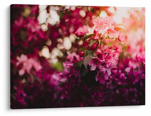 Tablou cu florile tufișului înflorit (70x50 cm)