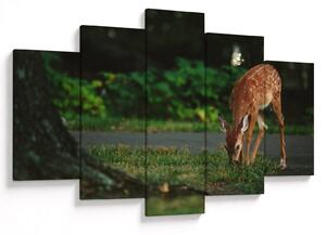 Tablou cu pui de cerb (150x105 cm)