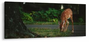 Tablou cu pui de cerb (120x50 cm)
