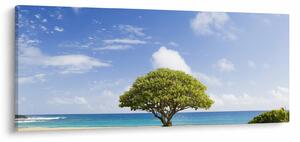 Tablou plaja cu copac (120x50 cm)