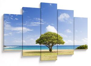 Tablou plaja cu copac (150x105 cm)