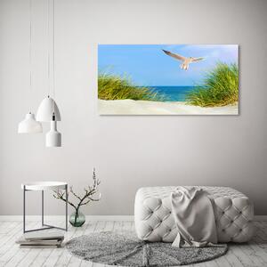 Print pe canvas Seagull pe plajă