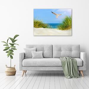 Print pe canvas Seagull pe plajă