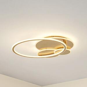 Lucande Plafonieră LED Circulo, auriu, 60 cm CCT, dimabil, reglabil, Auriu / Alamă, Camera de zi / sufragerie, Metal, Modern
