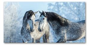 Imagine de sticlă cai gri de iarnă