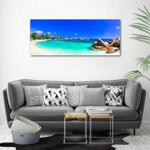 Pictură pe pânză plaja Seychelles