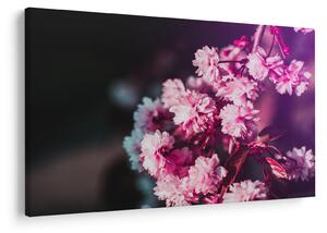 Tablou cu florile copacilor (90x60 cm)