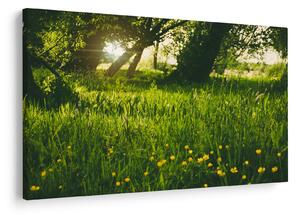 Tablou cu natura - lunca (90x60 cm)
