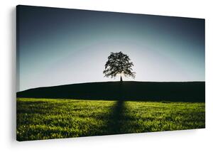 Tablou cu natura - copac (90x60 cm)