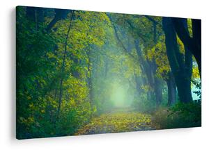 Tablou cu drum dea lungul cu copaci (90x60 cm)
