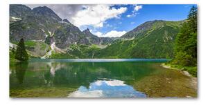 Tablou pe sticlă acrilică lame de iarbă