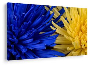 Tablou - detaliu florilor (90x60 cm)