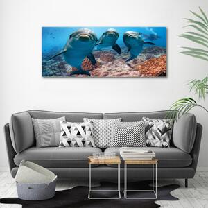 Imprimare tablou canvas delfini
