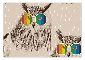 Imagine de sticlă Owls ochelari