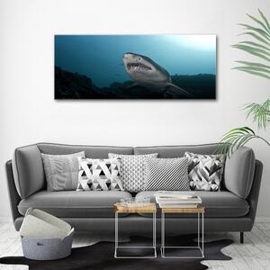 Print pe canvas rechin mare