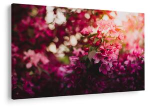 Tablou cu florile tufișului înflorit (90x60 cm)
