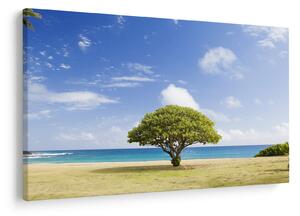 Tablou plaja cu copac (90x60 cm)