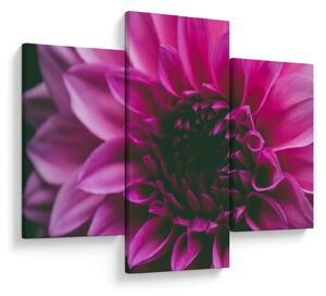 Tablou cu floarea roz (90x60 cm)