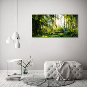 Imprimare tablou canvas Pădurea de dimineață la soare